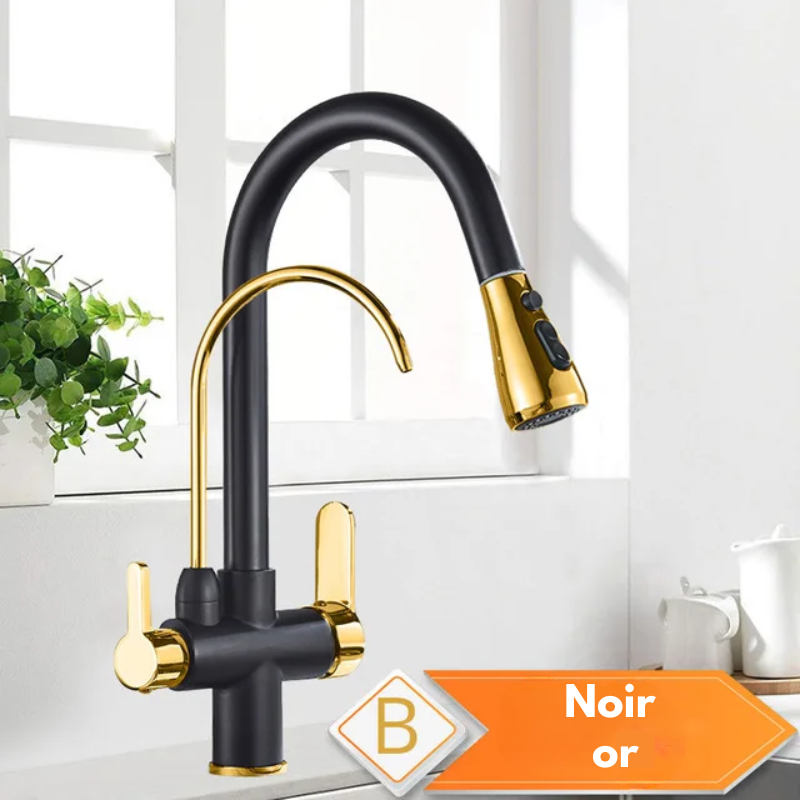 Mitigeur de cuisine noir 3 voies avec eau filtrée – double commande et bec rotatif 360°