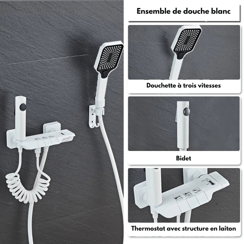 Colonne de Douche Thermostatique Grise LED – Affichage Température Sans Batterie, Hauteur Ajustable & Système de Douche Pluie Pressurisé