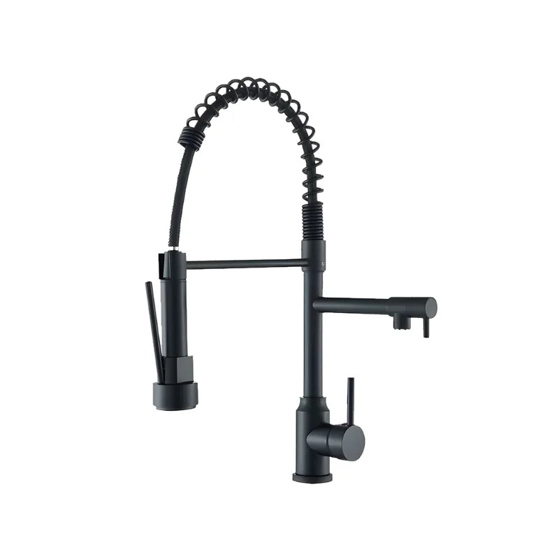 Robinet Cuisine Flexible Noir
