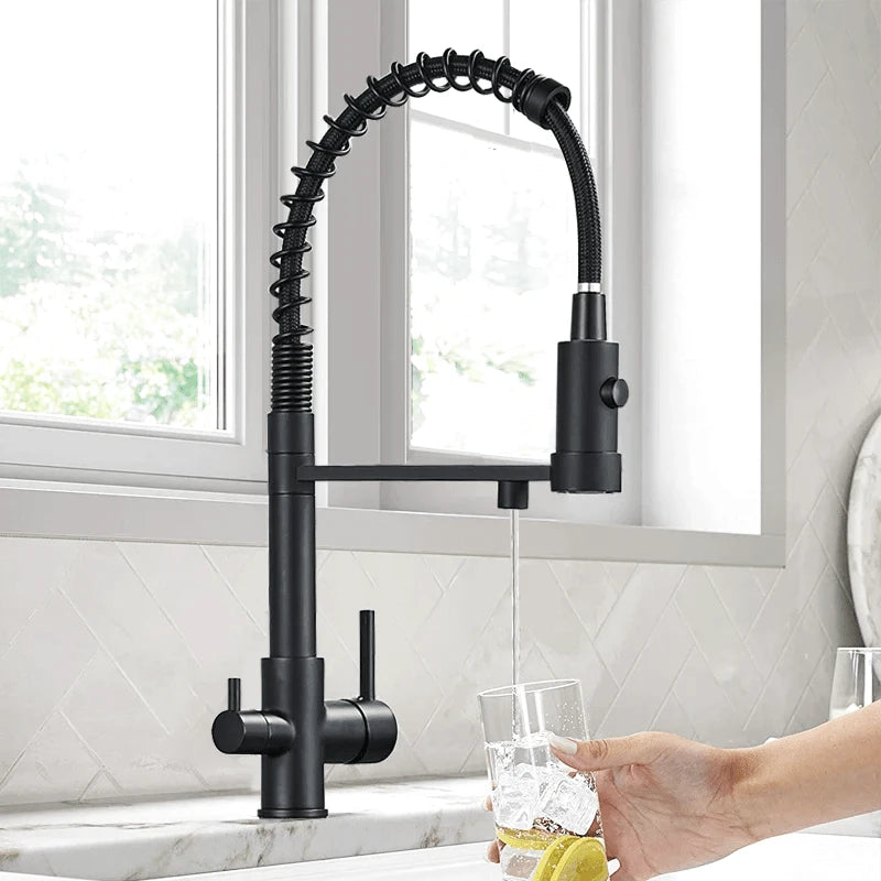 Robinet Cuisine Noir