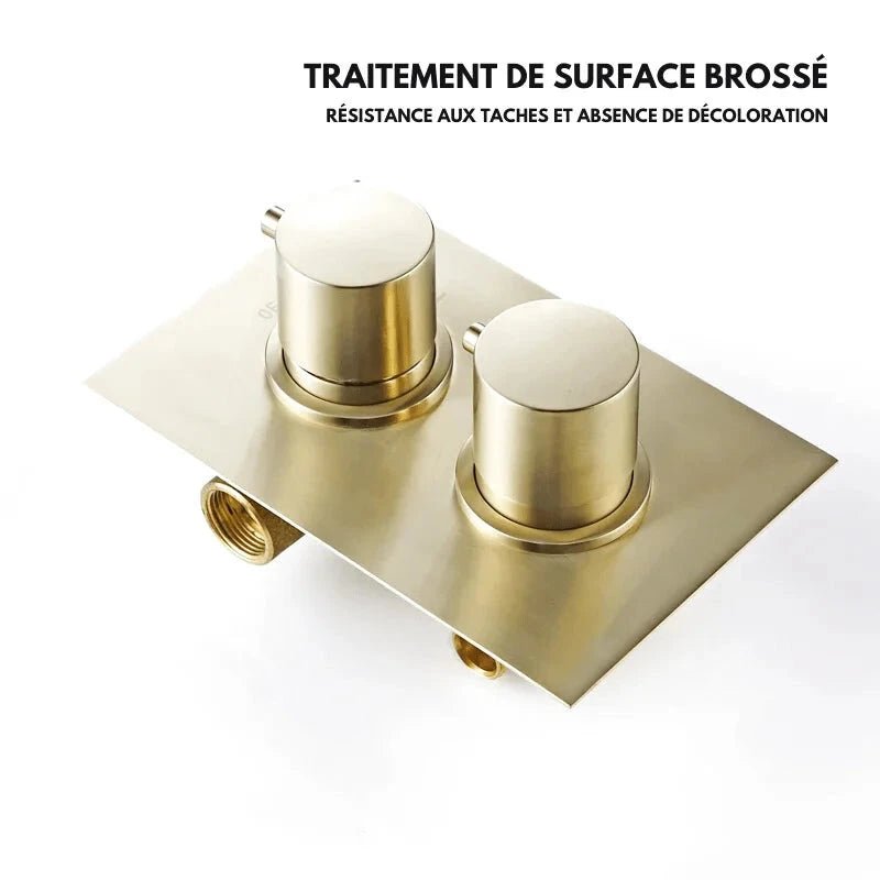 Colonne De Douche De Luxe